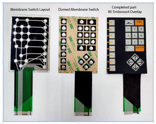 Membrane switches